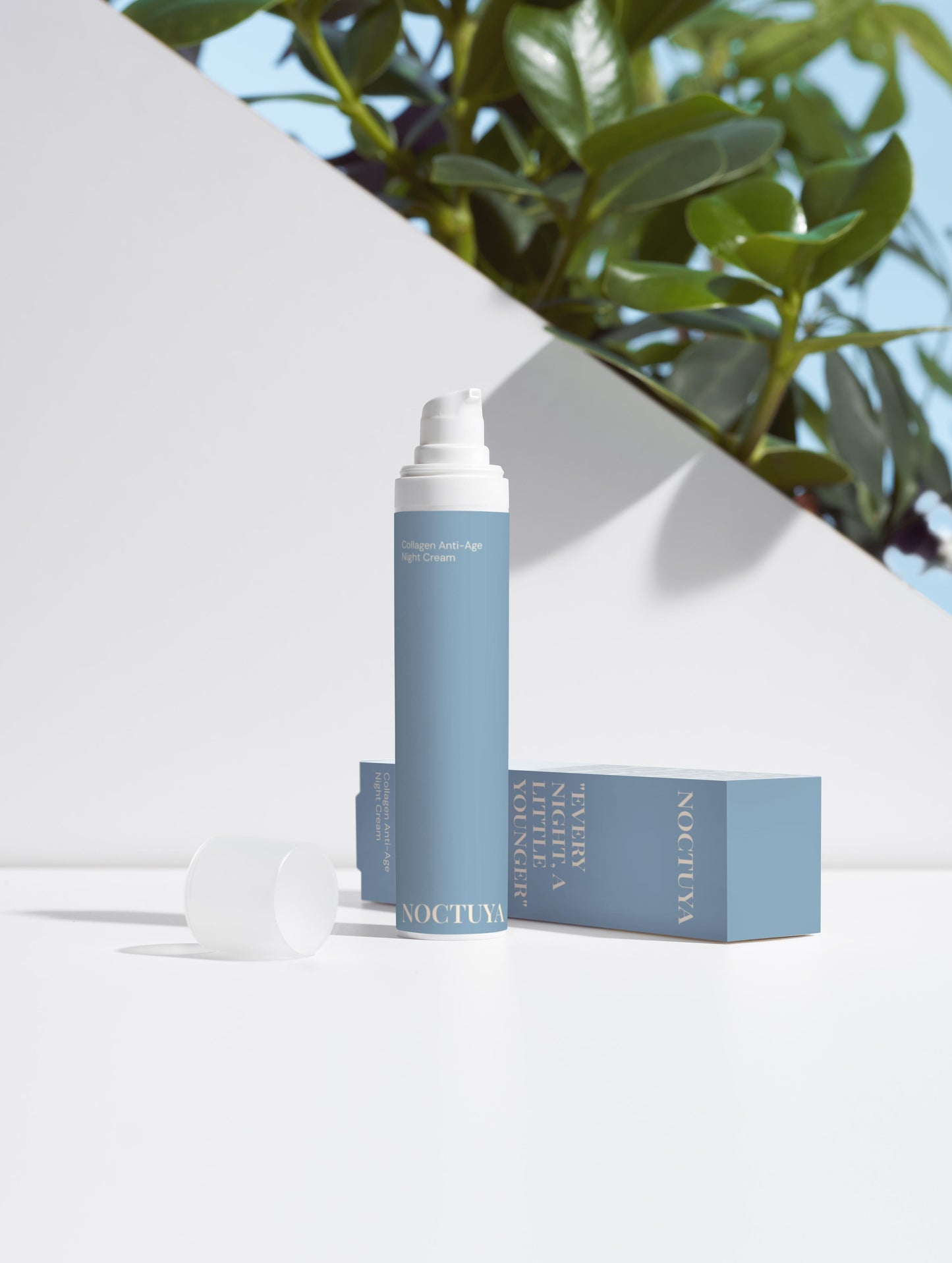 COLLAGEN NIGHT CREAM